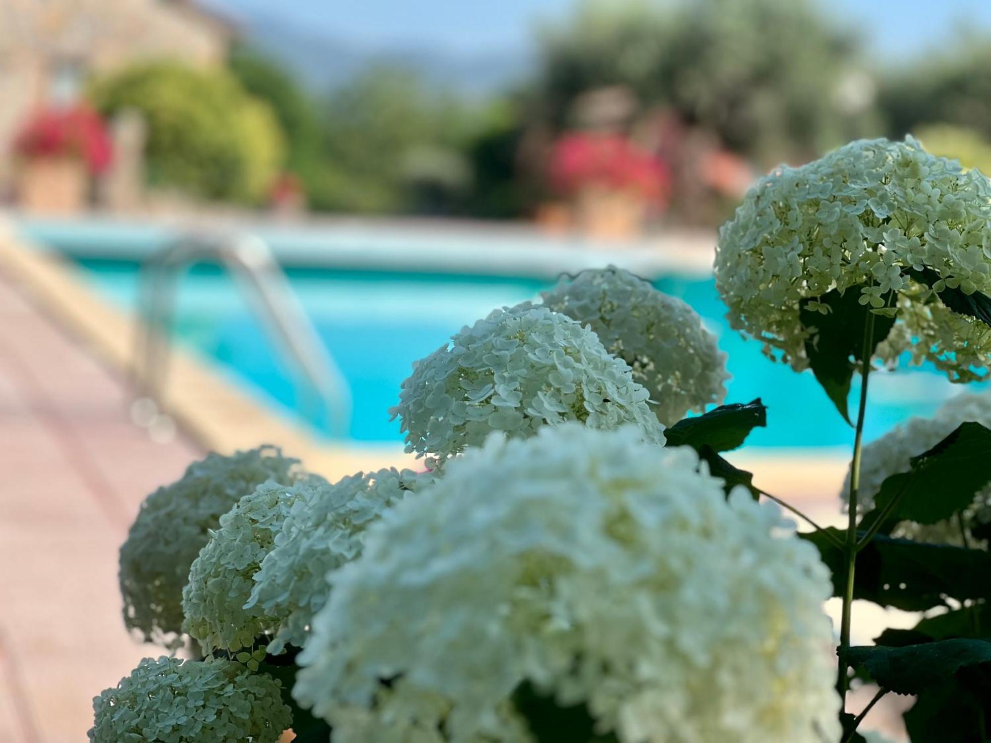 Le Case Di Lisetta Holiday Homes Corciano Luaran gambar