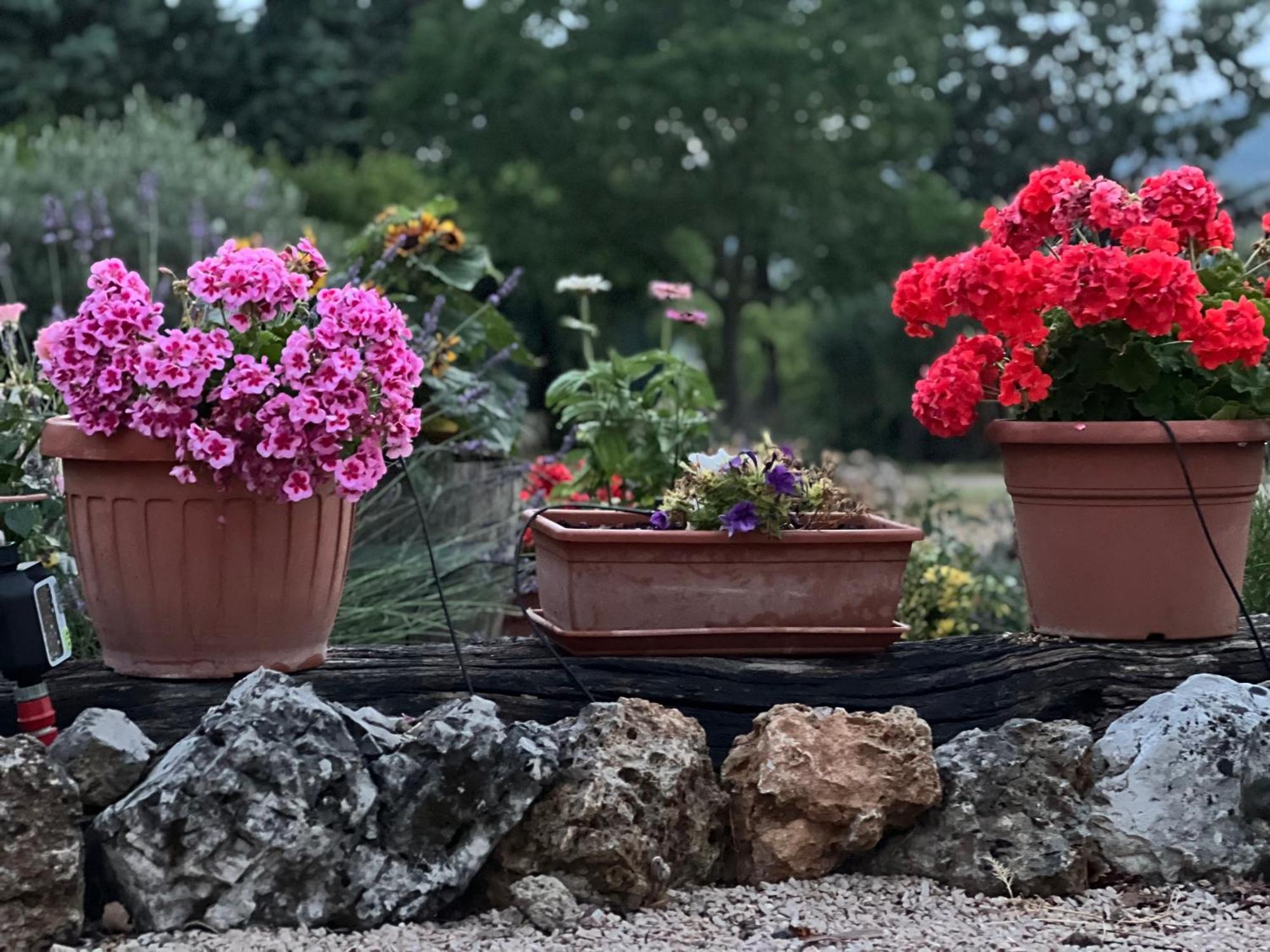 Le Case Di Lisetta Holiday Homes Corciano Luaran gambar