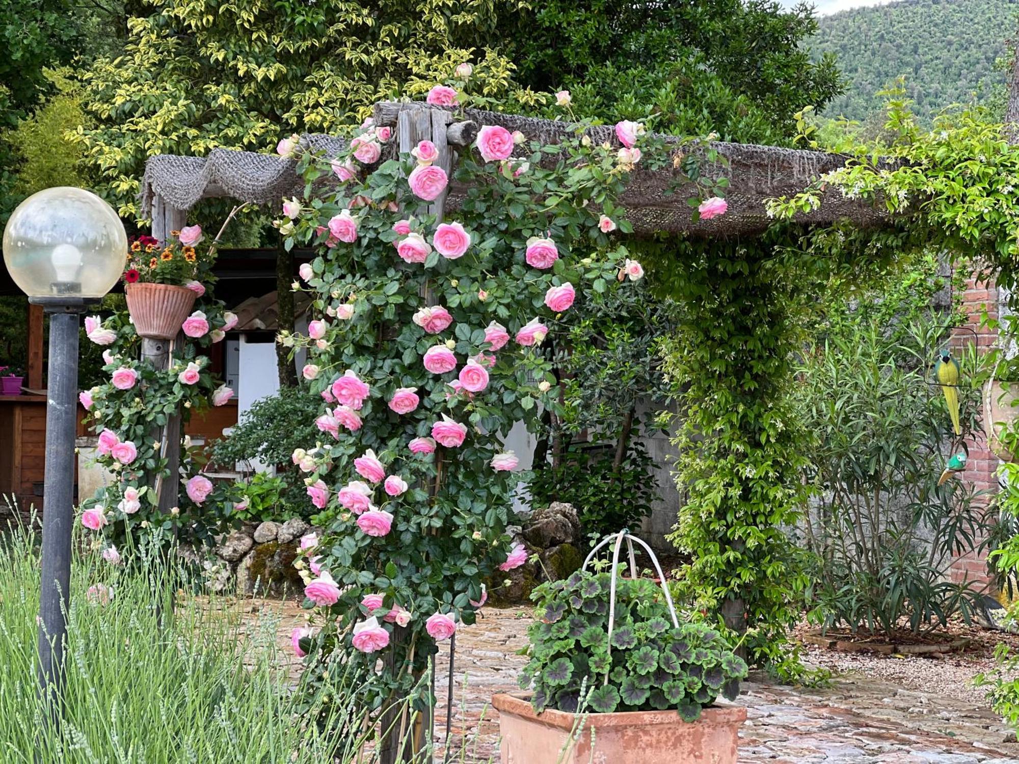 Le Case Di Lisetta Holiday Homes Corciano Luaran gambar