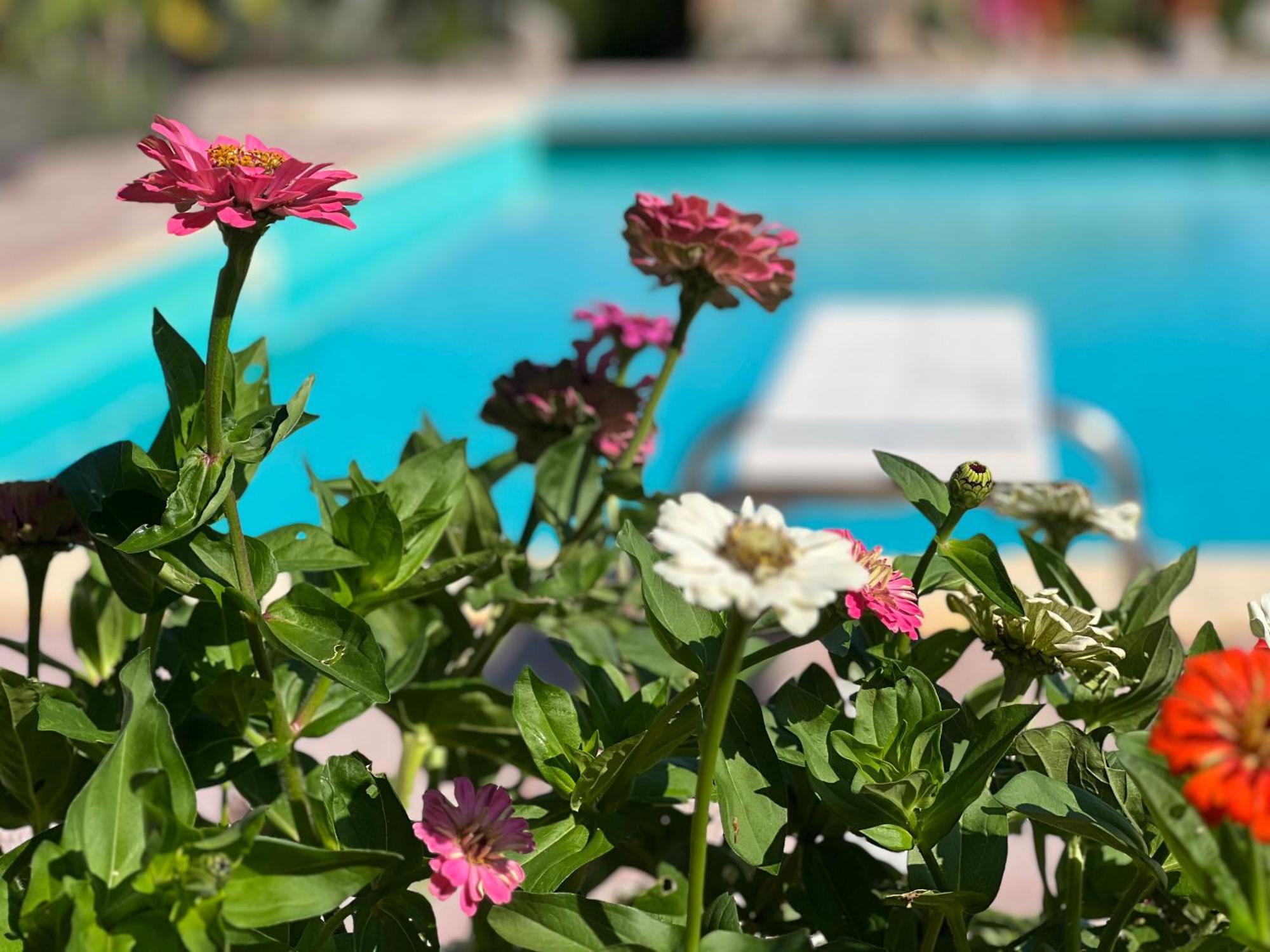 Le Case Di Lisetta Holiday Homes Corciano Luaran gambar