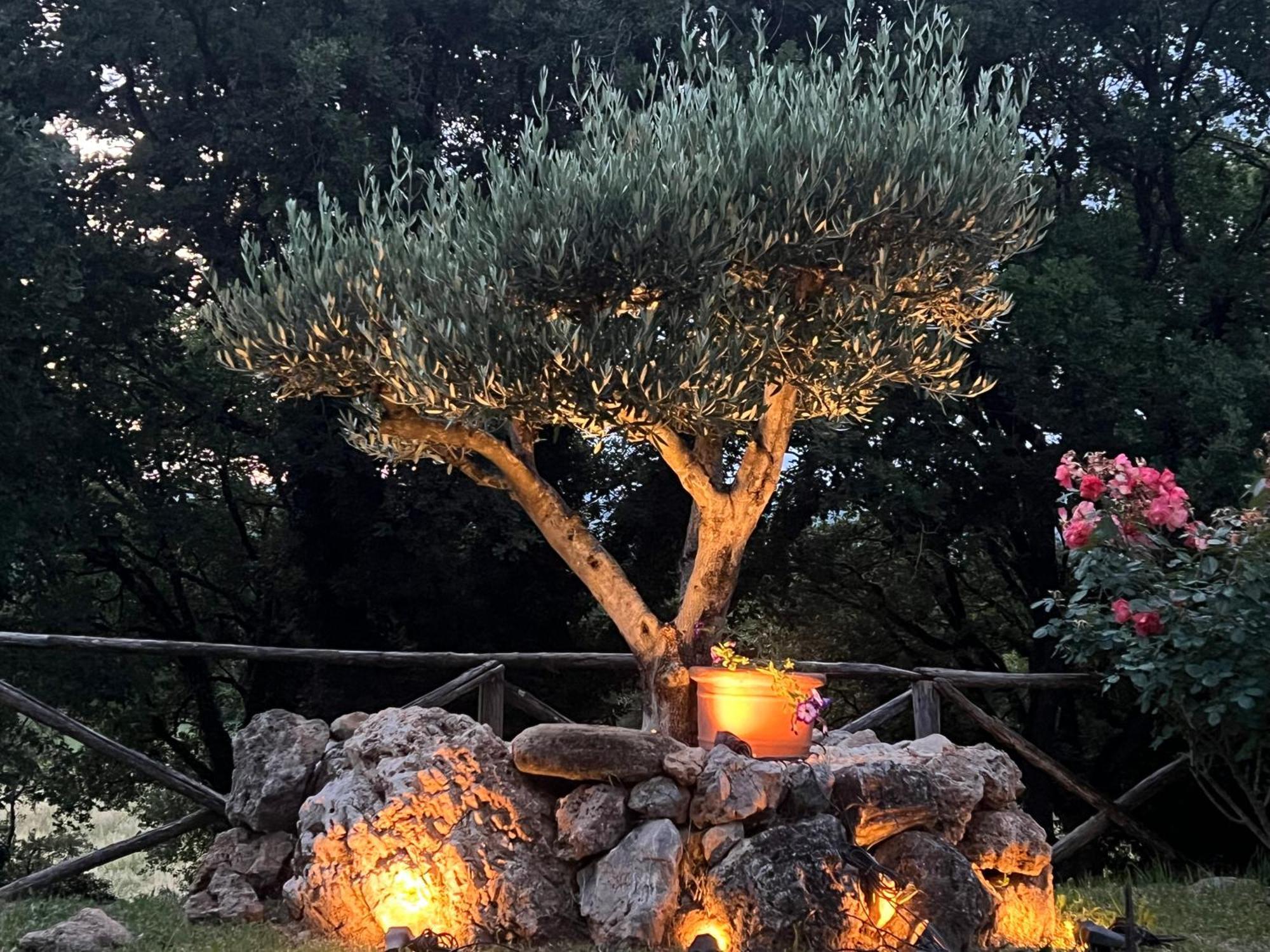Le Case Di Lisetta Holiday Homes Corciano Luaran gambar